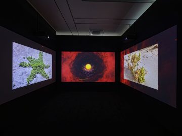 Proximities exhibition UAE artists Seoul museum gallery