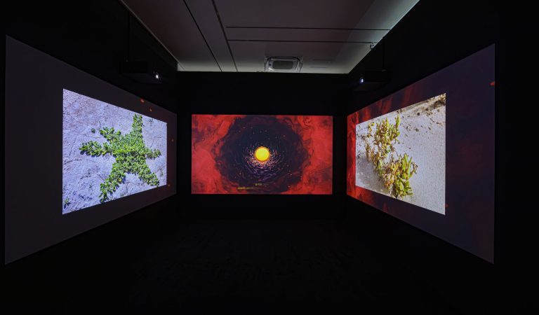 ‘Proximities’ – UAE–Korea Cultural Collaboration Achieves Remarkable Global Success as Exhibition Captivates Seoul