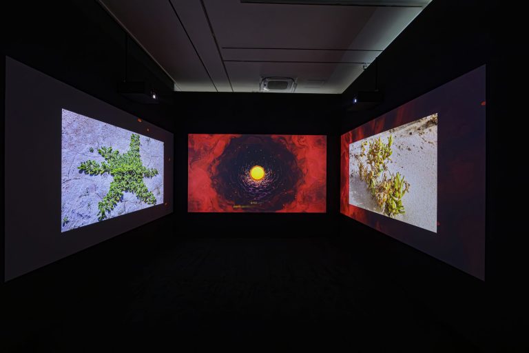 Proximities exhibition UAE artists Seoul museum gallery