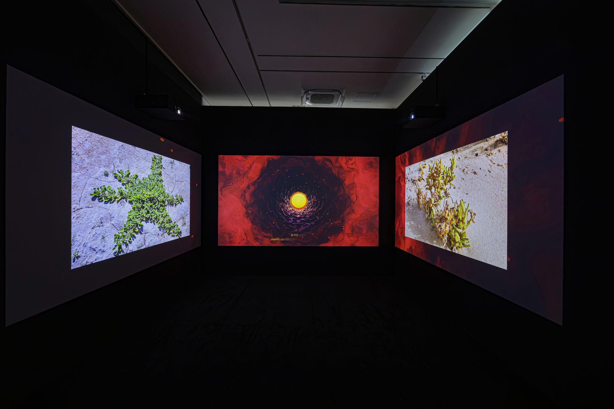 Proximities exhibition UAE artists Seoul museum gallery